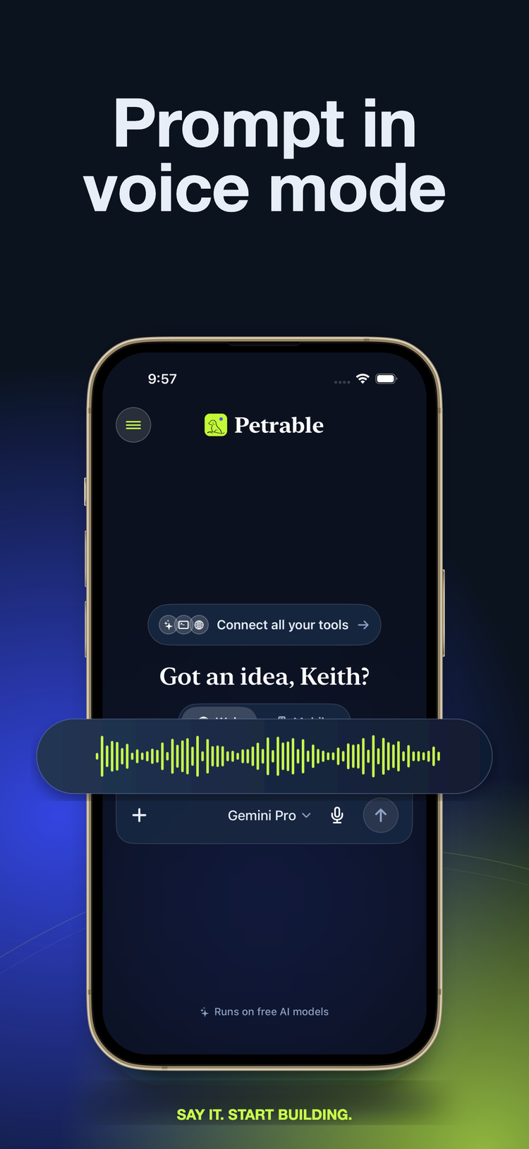 Prompt in voice mode